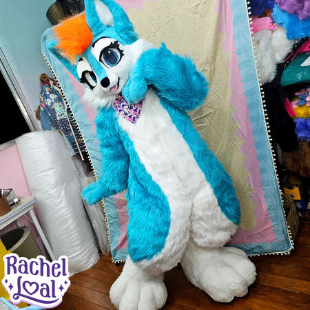 Matt Mini Partial