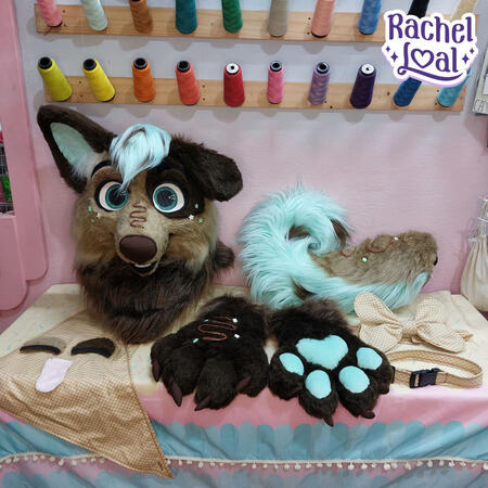 Mini Partial Mini Partial