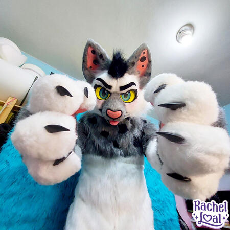 Zilla Fullsuit Zilla Fullsuit