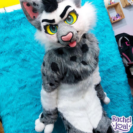 Zilla Paws Zilla Paws