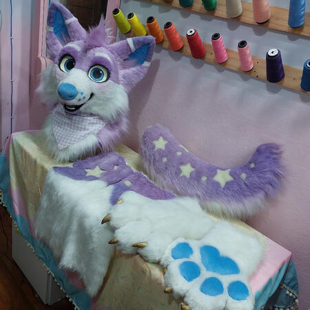 Ally Tail and Paws Ally Tail and Paws