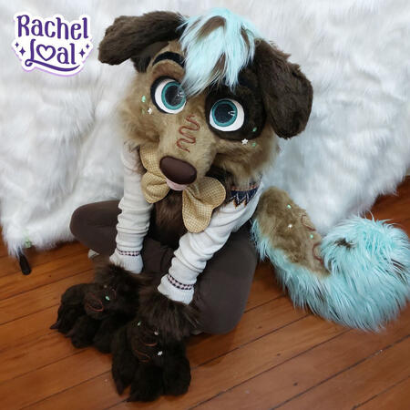 Mini Partial Mini Partial