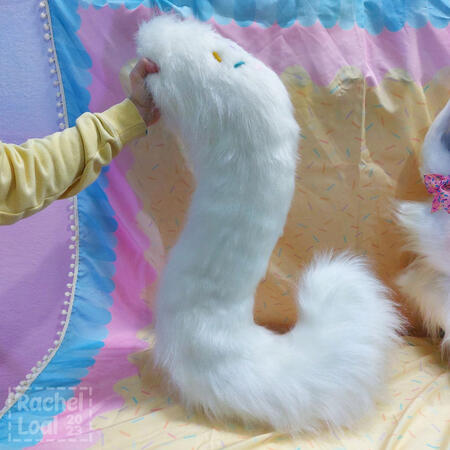 Kittycorn Tail