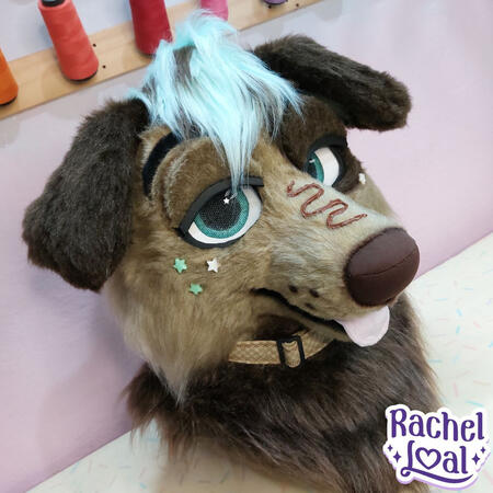 Mini Partial Mini Partial