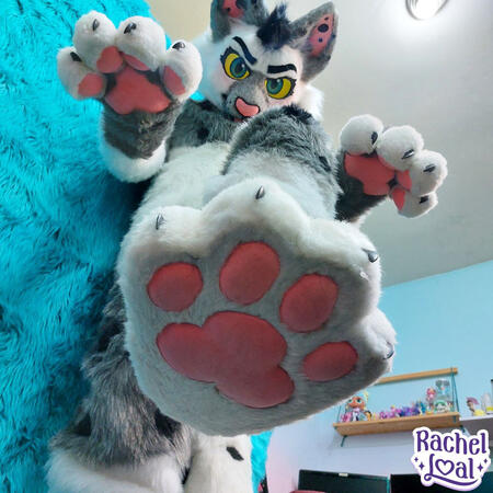 Zilla Fullsuit Zilla Fullsuit